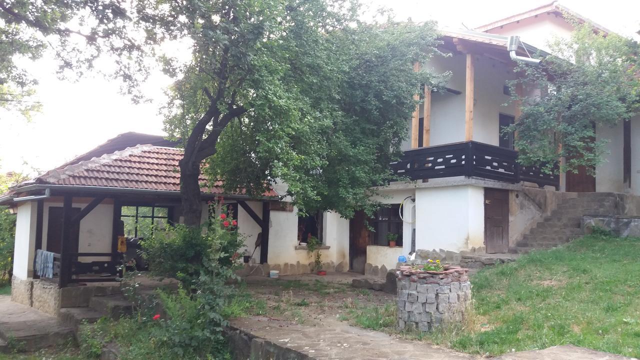 Chuchi Guest House 1 Zlatna Panega Экстерьер фото
