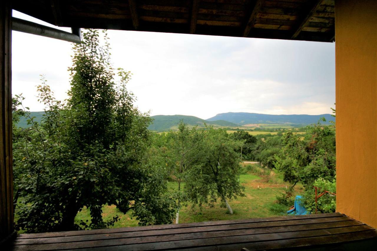 Chuchi Guest House 1 Zlatna Panega Экстерьер фото