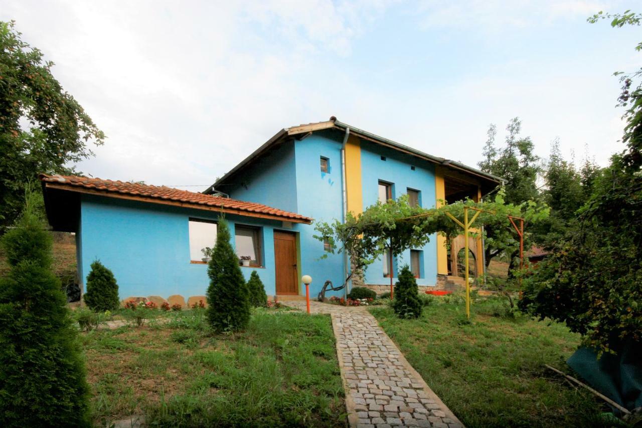 Chuchi Guest House 1 Zlatna Panega Экстерьер фото