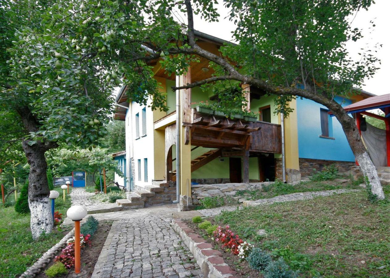 Chuchi Guest House 1 Zlatna Panega Экстерьер фото